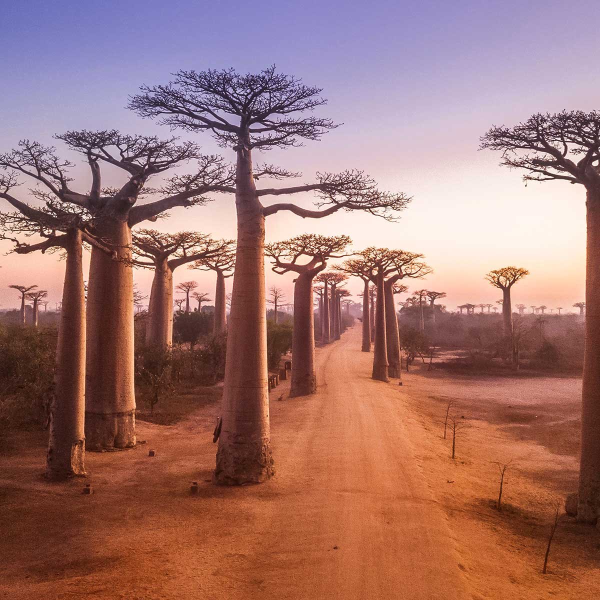madagascar