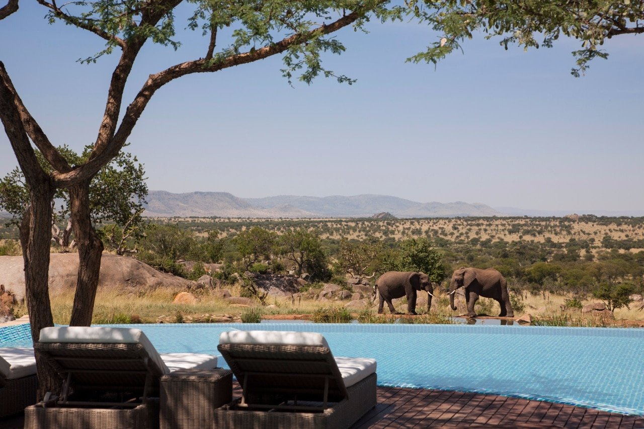 tanzanie-four-seasons-serengeti-vue-steppe